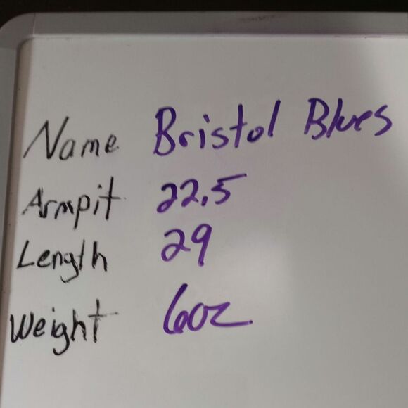 Bristol Blues Shirt Men's Large Button Front Short Sleeve‎ - Picture 6 of 6